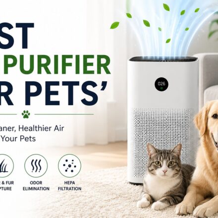 Best Air Purifier for Pets